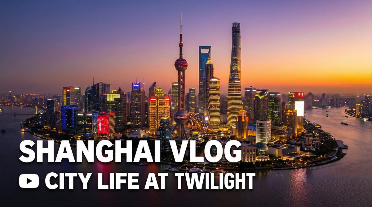 探花城市风光视频